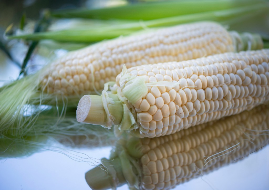 Maize (White Corn)